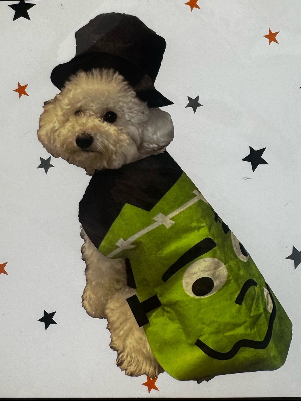 Frankenstein Pet Costume Set